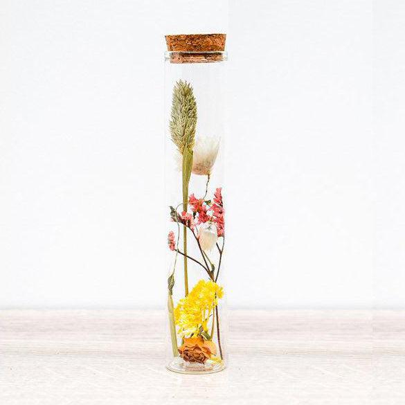 Trockenblume im Glas mit Korken - Bunter Frühlingstraum-Trockenblumen-Plantasy-LAPONDO